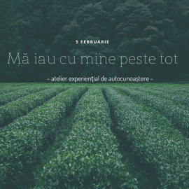 Mă iau cu mine peste tot.png